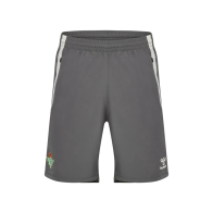 Pantalón corto entrenamiento Betis 25/26 gris
